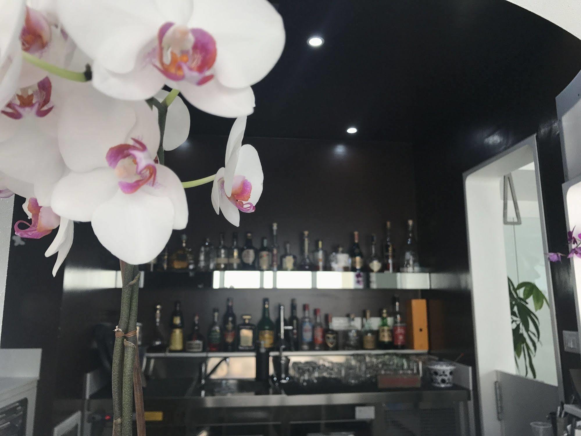 Quihotel Porto Cesareo Ngoại thất bức ảnh
